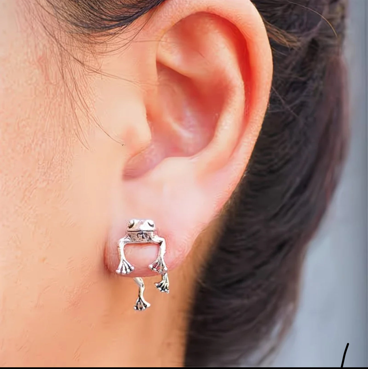 Silver Frog Drop Earrings
